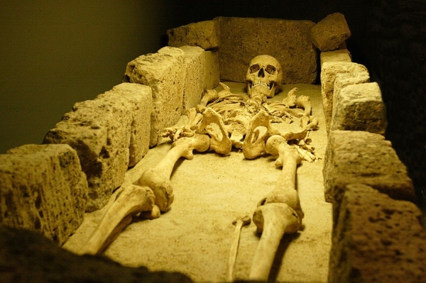 Skelett Ottos im Museum Burg Linn