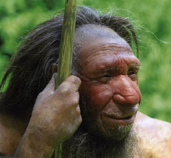 Neanderthaler, Rekonstruktion