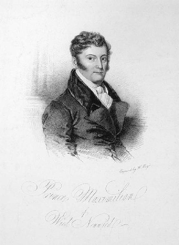 Prinz Maximilian Alexander zu Wied, Kupferstich von Heinrich Meyer, um 1820-1825